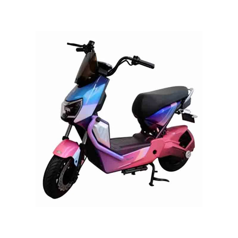 60v Fat Tire Electric Bike