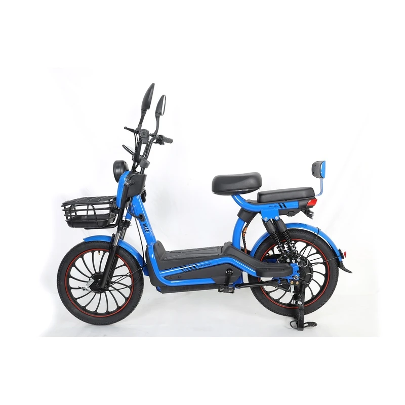 Man Electric Bicycle