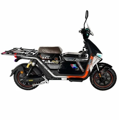 Electric City Bike for Cargo