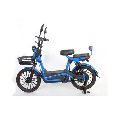 Man Electric Bicycle