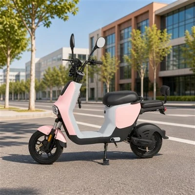 Two-person Electric City Bike
